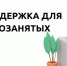 Кировским самозанятым предложили новые инструменты для продвижения. - Администрация г. Вятские Поляны